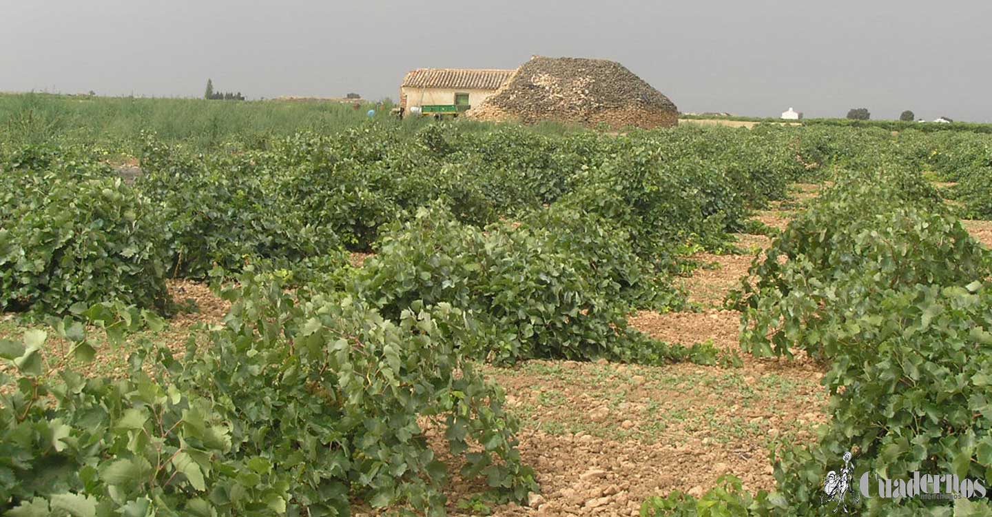 El presidente de Castilla-La Mancha avanza la próxima aprobación de “nueve millones de euros” para facilitar la contratación de seguros agrarios 