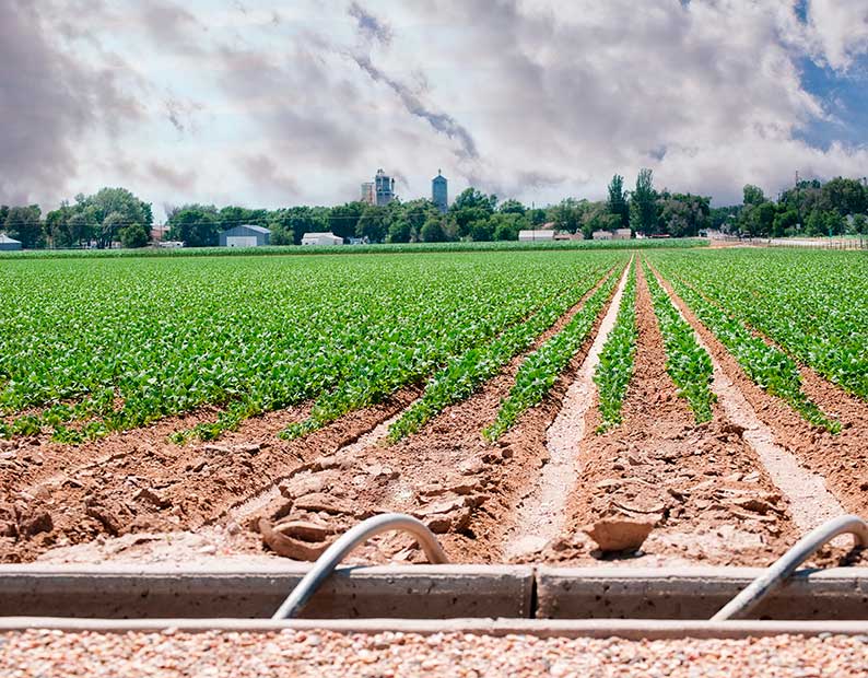 El Ministerio de Agricultura, Pesca y Alimentación invierte más de 2 millones de euros en la modernización de regadíos en Albacete 