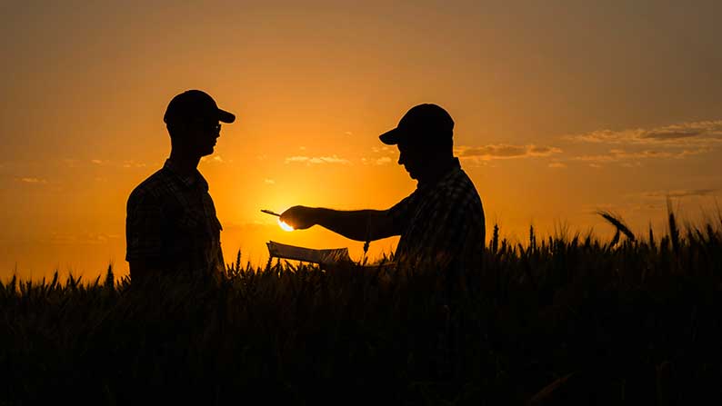 Campo de Criptana acoge el 2º Encuentro con el talento rural de agricultores contra el cambio climático