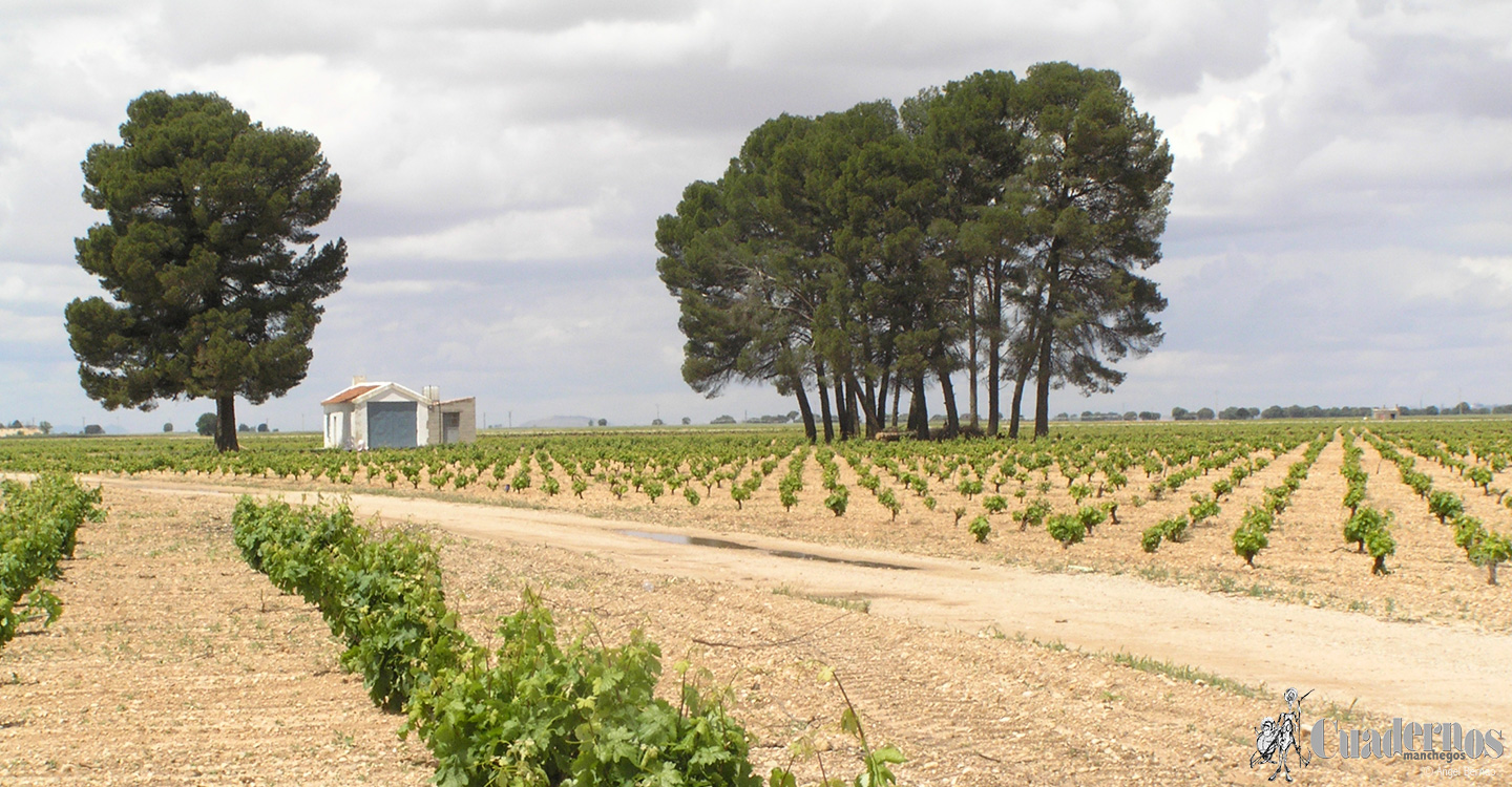 ASAJA Ciudad Real pide más efectivos para dar mayor seguridad al campo