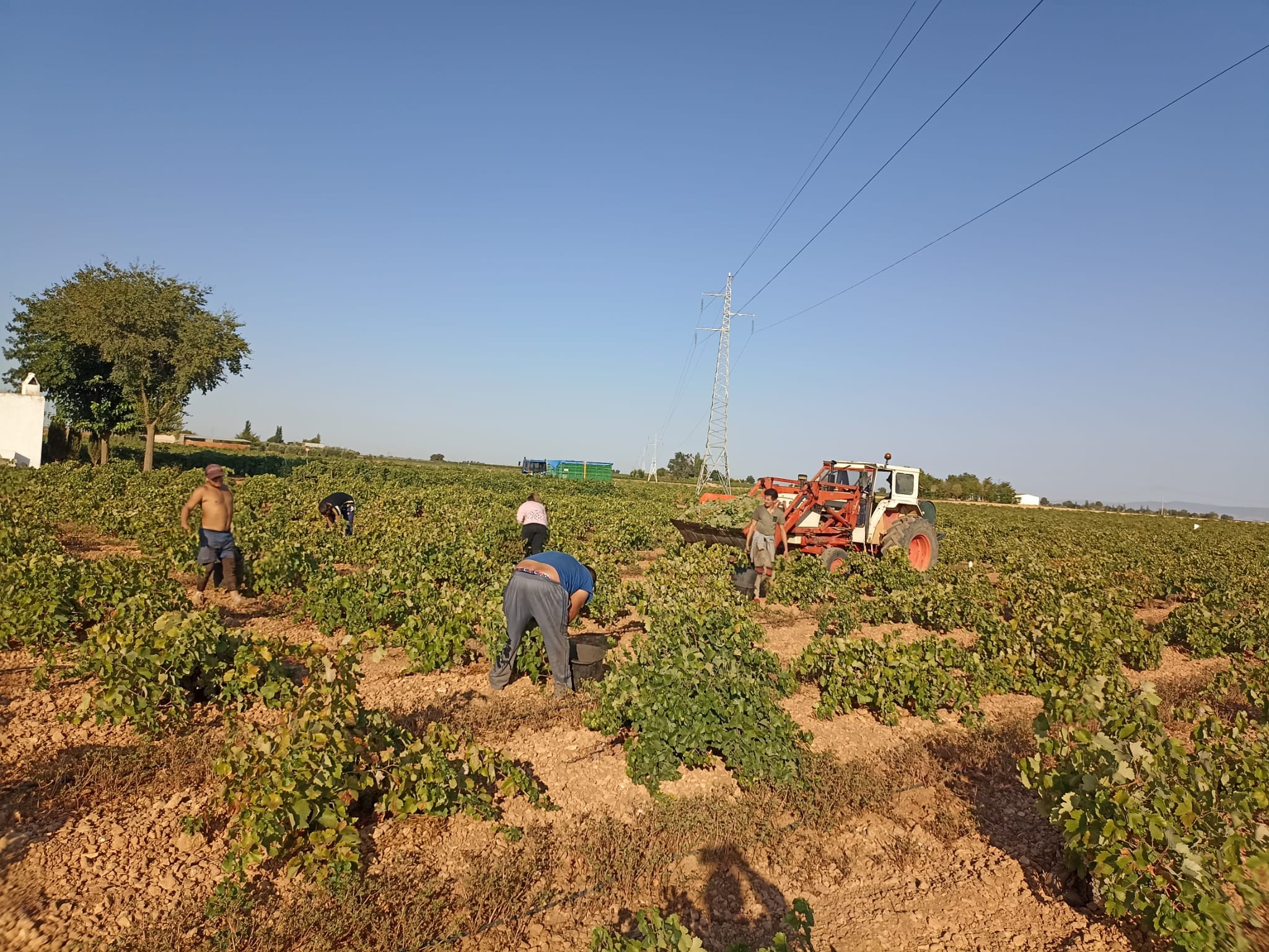 ASAJA Ciudad Real denuncia la persecución a la que se ven sometidos los agricultores a través de las inspecciones de trabajo