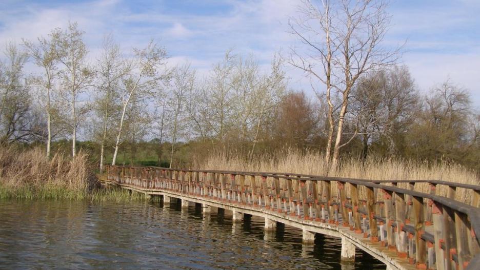 ASAJA Ciudad Real denuncia la gestión del agua que está haciendo la CHG en las Tablas