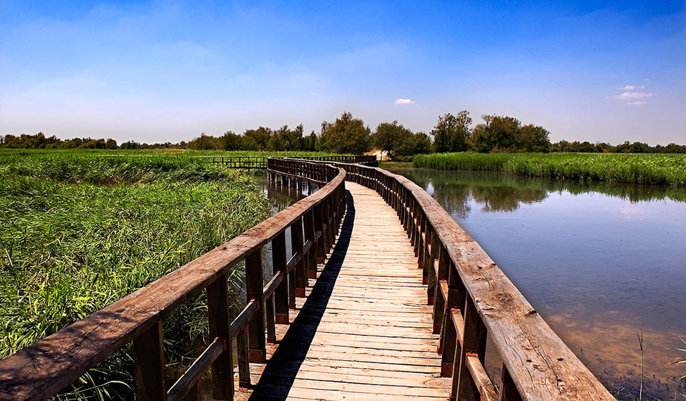 El Gobierno de Castilla-La Mancha trabaja con voluntad de acordar con el Gobierno de España soluciones de futuro para las Tablas de Daimiel y el desarrollo socioeconómico de la zona