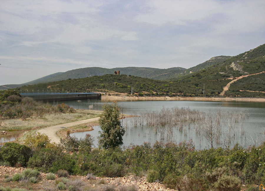  La Diputación de Ciudad Real colabora con la campaña “El agua es vida, optimízala” para promover un uso responsable en el consumo de agua 