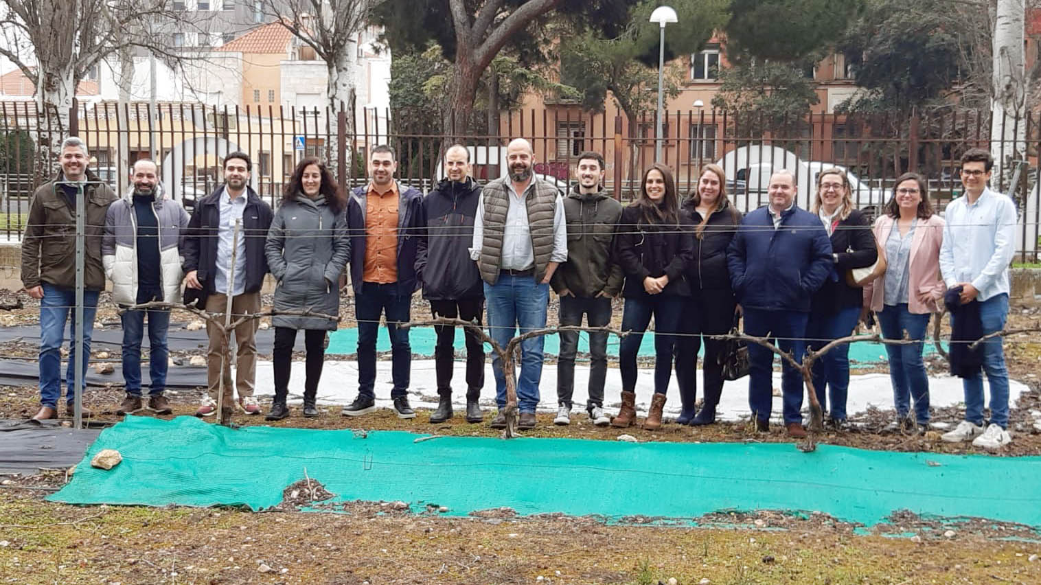 La UCLM participa en un proyecto centrado en el impacto de la agrovoltaica en la vid para la mejora de la producción del vino 