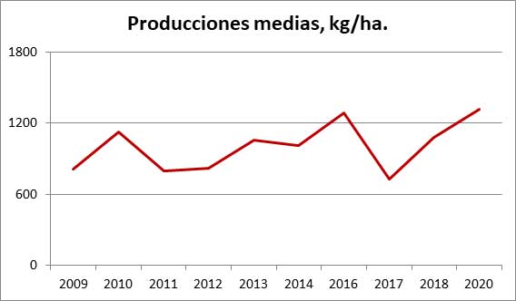 Producciones Yeros