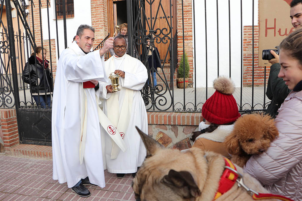 San Antón Almodóvar del Campo