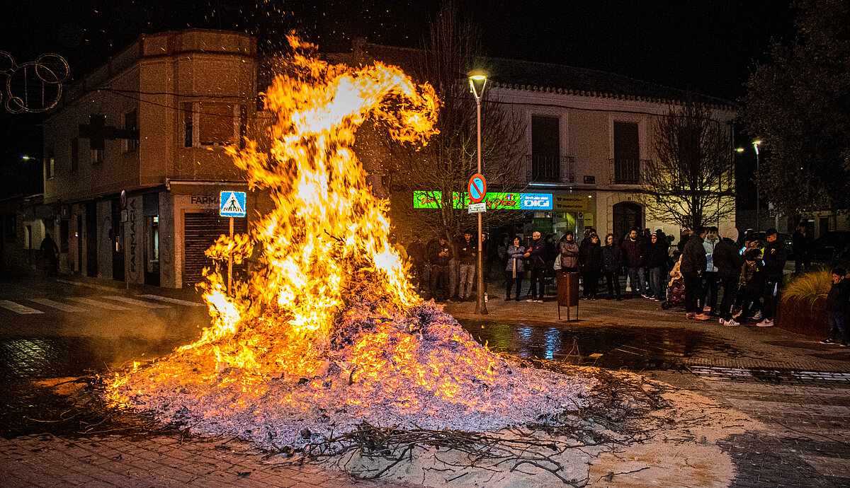 San Antón 2025: Tradición, Fuego y Comunidad en Argamasilla de Alba