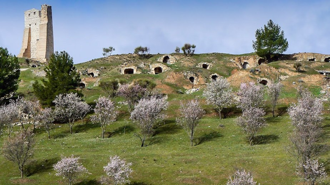 Cuevas vinícolas tradicionales de España (XIII)