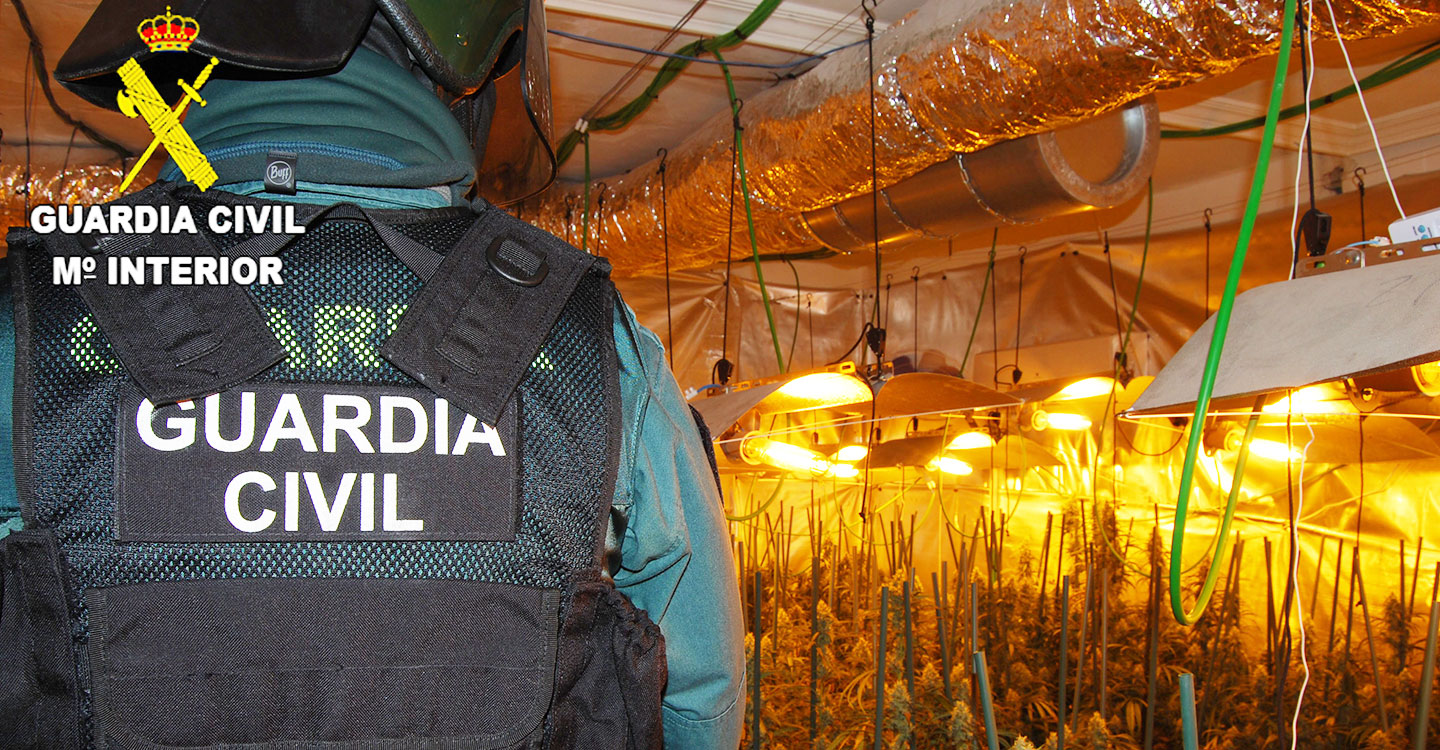 La Guardia Civil detiene a dos personas por cultivar marihuana en Pioz