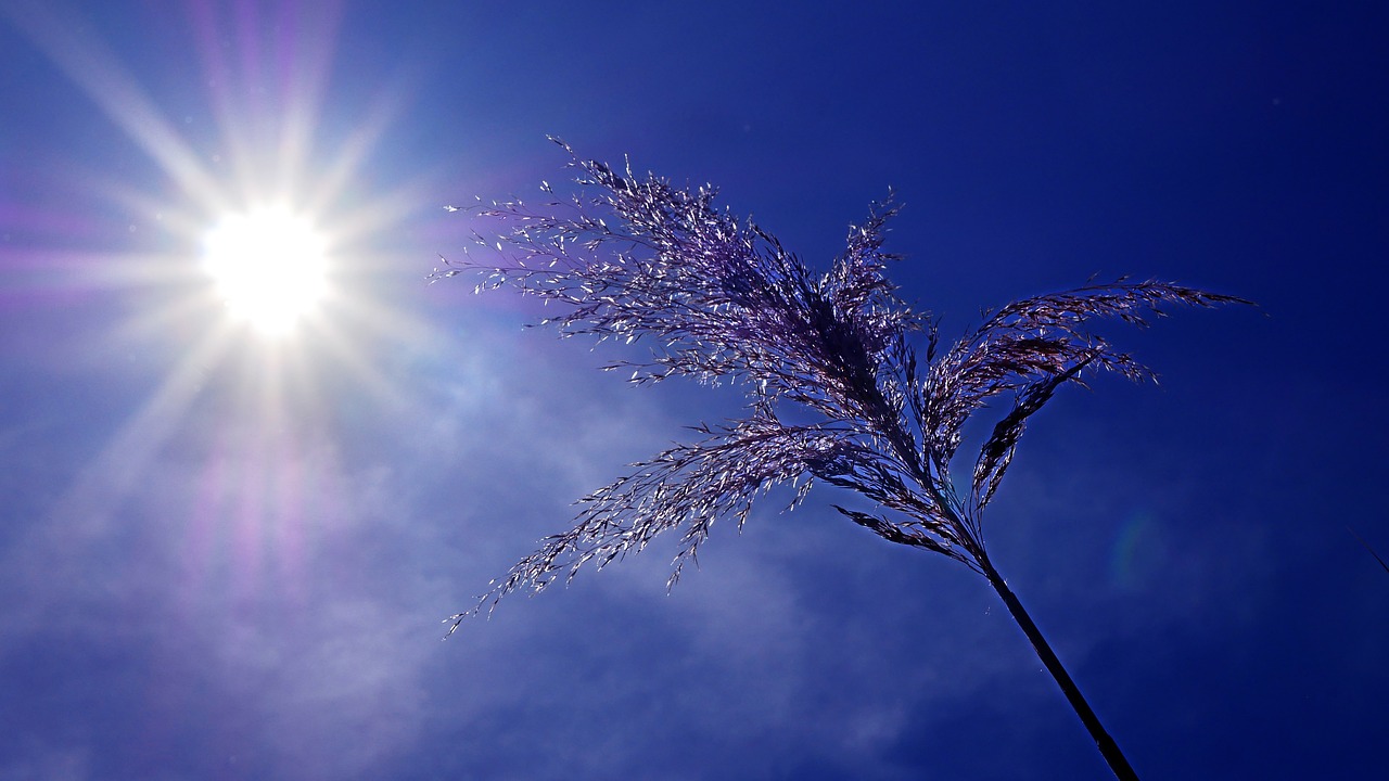 Se avecinan casi 40ºC y noches tropicales en varias ciudades españolas