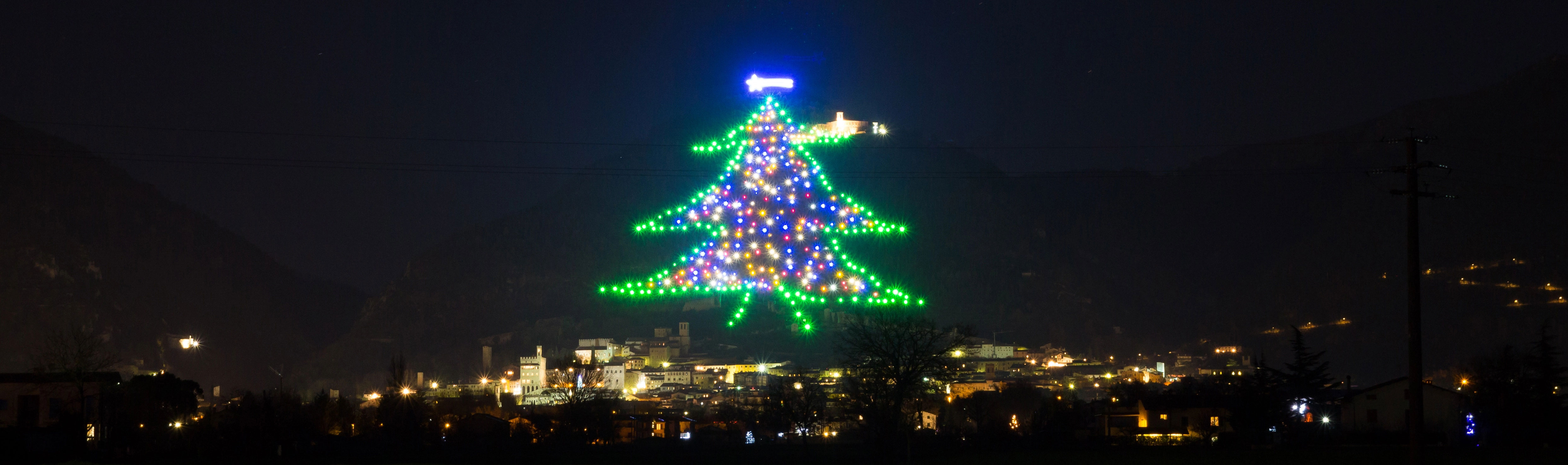 Árboles de Navidad: Los Más Altos del Mundo