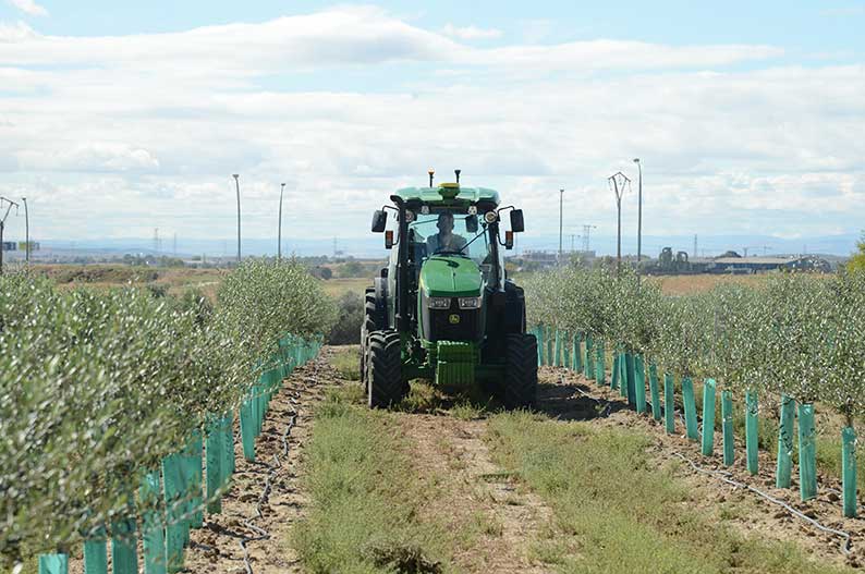 El Ministerio de Agricultura, Pesca y Alimentación publica ayudas extraordinarias por 9,7 millones de euros para reponer maquinaria agrícola afectada por la dana