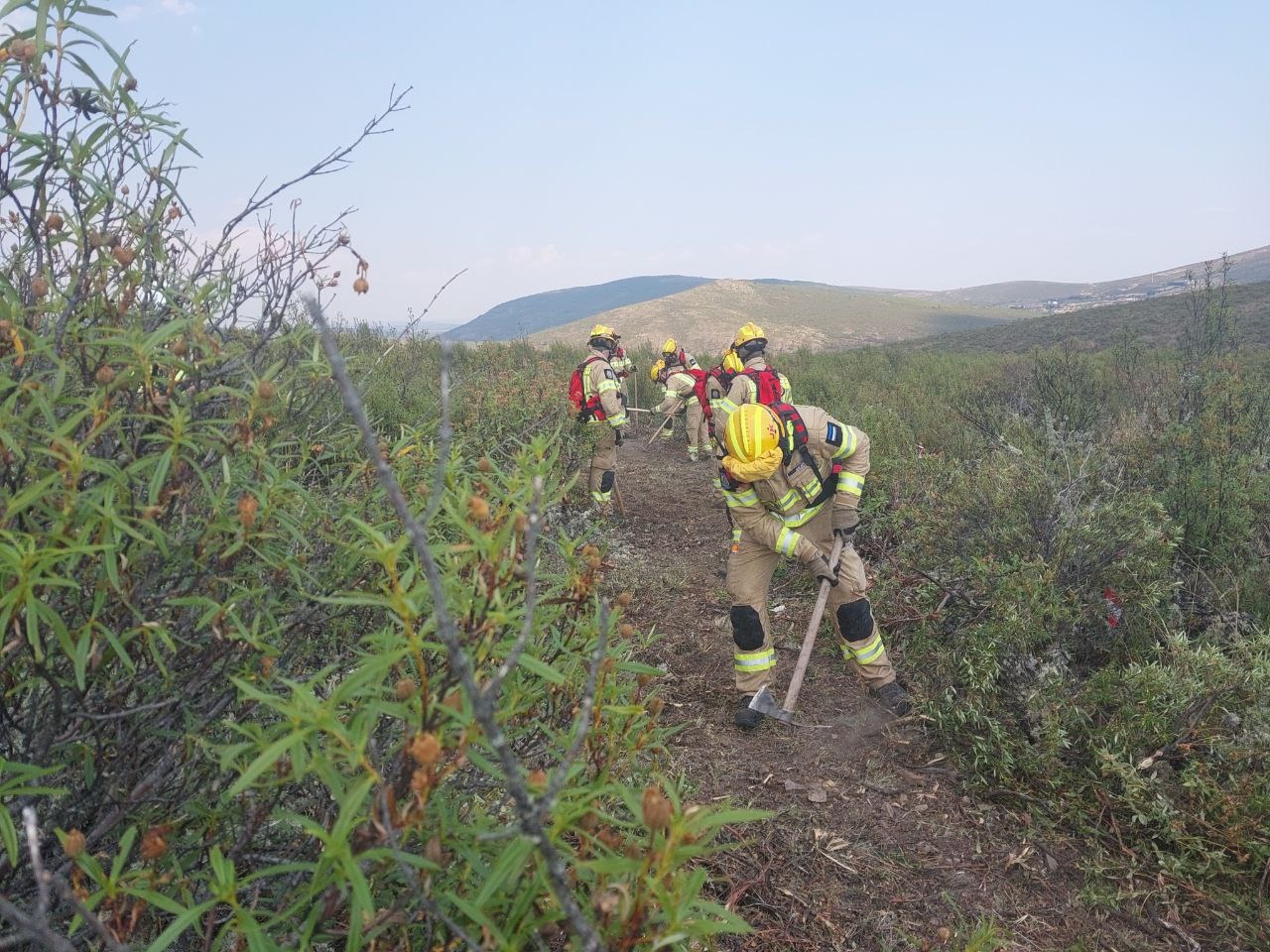 40 bomberos forestales de Estonia se integran en labores de extinción de incendios en Castilla-La Mancha y Galicia