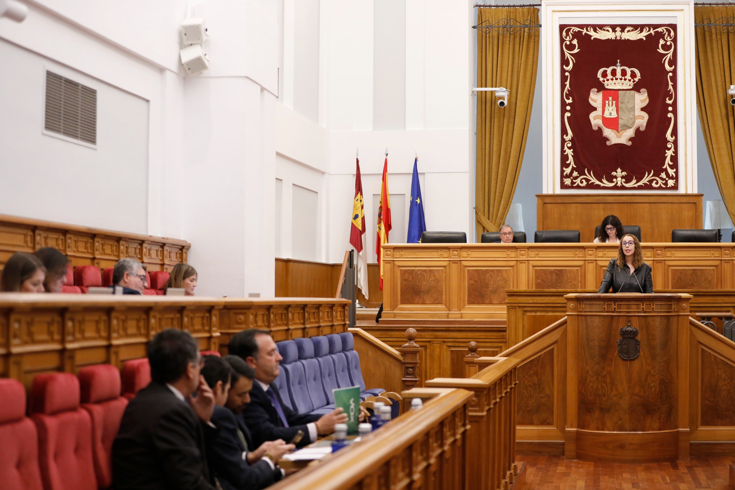 El Pleno en las Cortes de CLM aprueba cinco resoluciones sobre violencia de género, financiación autonómica y servicio de hemodiálisis en Hellín 