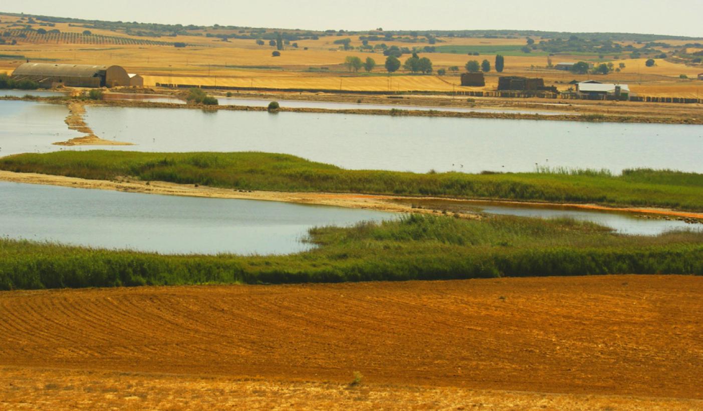 Castilla-La Mancha celebra el Día Mundial de los Humedales con numerosas actividades en los espacios naturales 