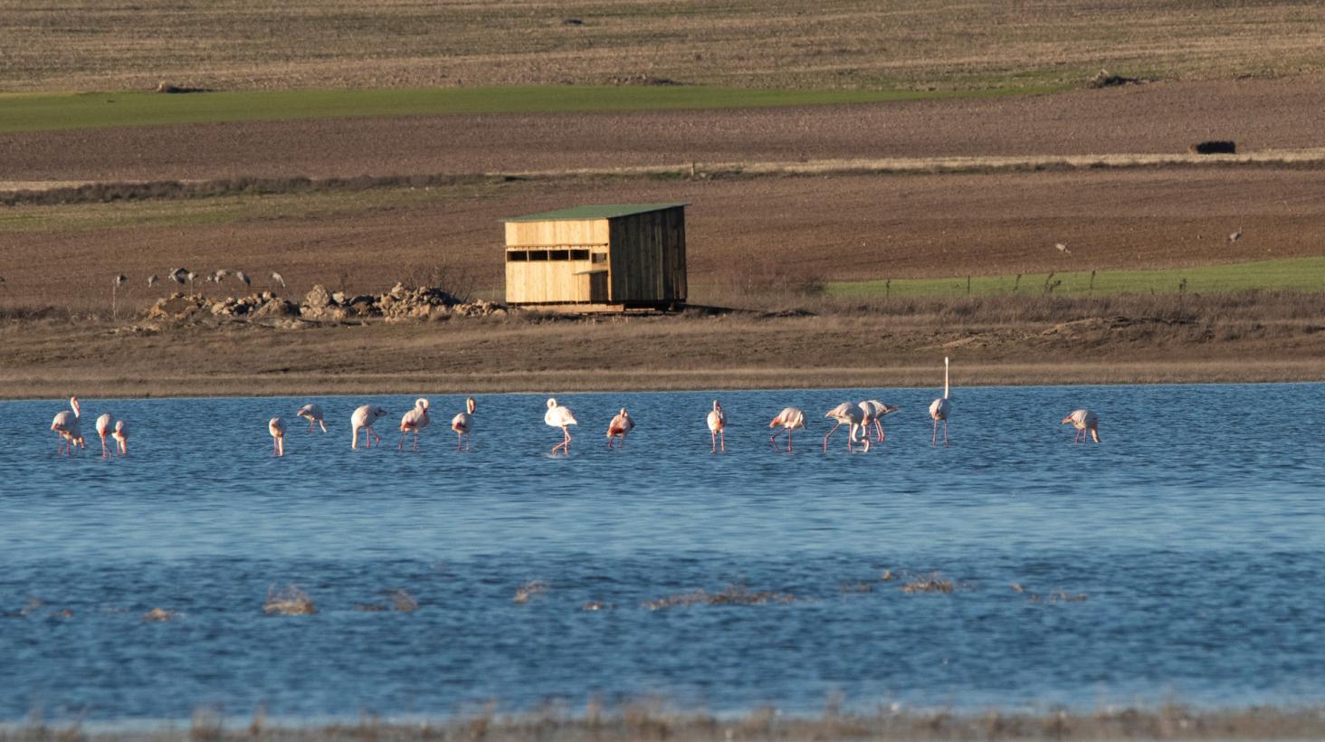 Castilla-La Mancha organiza actividades gratuitas de concienciación ambiental para conmemorar el Día Mundial de los Humedales 