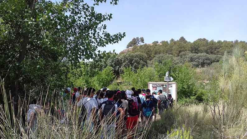 El Gobierno de Castilla-La Mancha celebra la IV semana de los Espacios Naturales Protegidos de Castilla-La Mancha con una decena de actividades