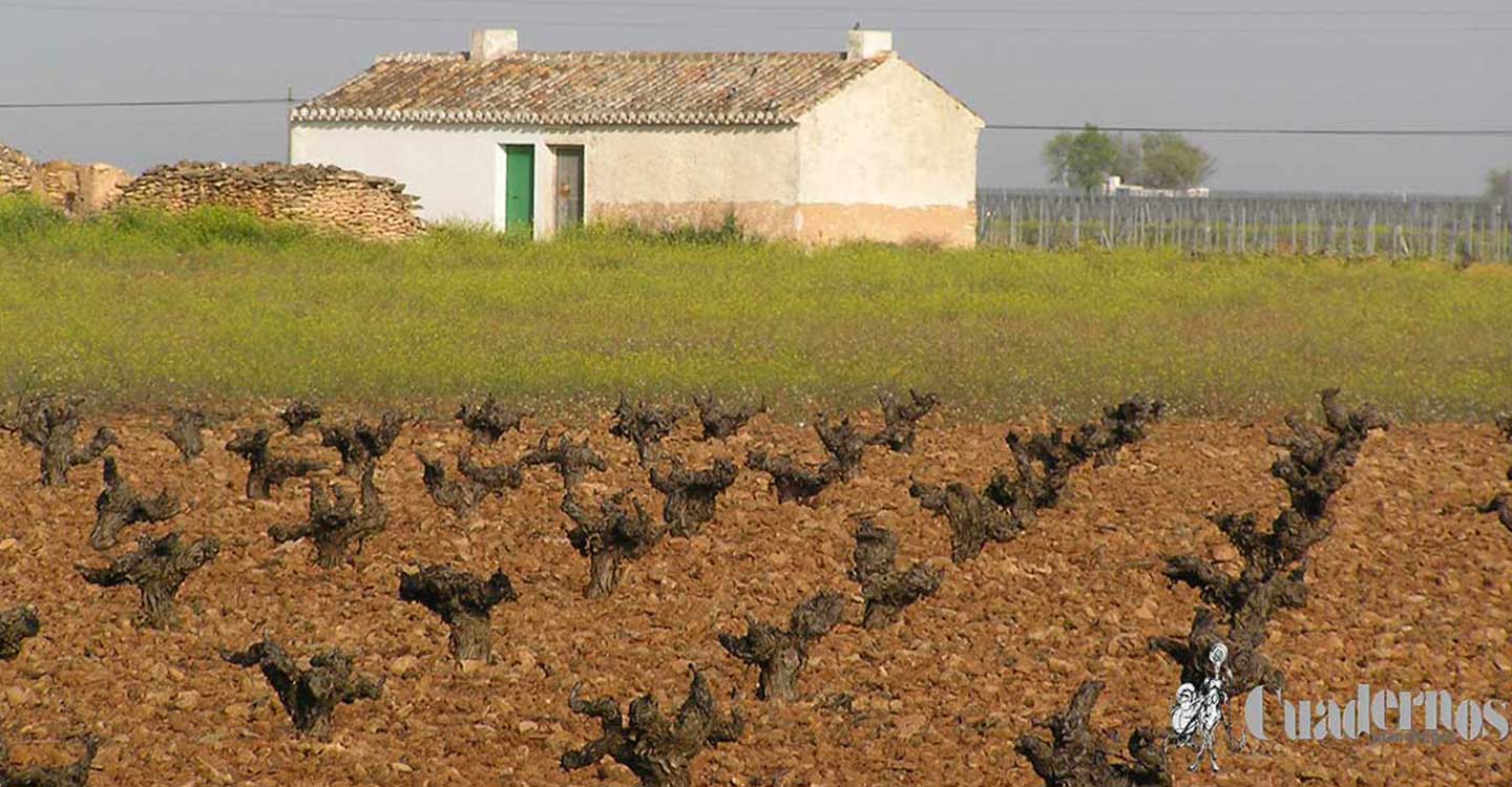 El Gobierno de Castilla-La Mancha ingresa desde hoy 300 millones correspondientes al anticipo de la PAC a agricultores y agricultoras de la región