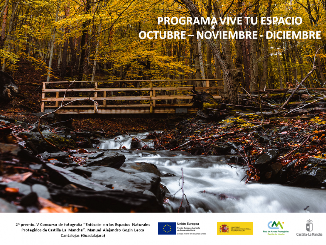 El Gobierno de Castilla-La Mancha organiza más de 50 actividades gratuitas para este otoño a través del programa de educación y sensibilización ambiental ‘Vive tu Espacio’