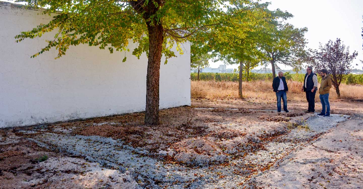 Finalizan diversas obras de mejora en el albergue de animales