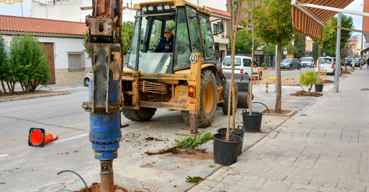 En marcha trabajos de reposición de arbolado en la calle Oriente