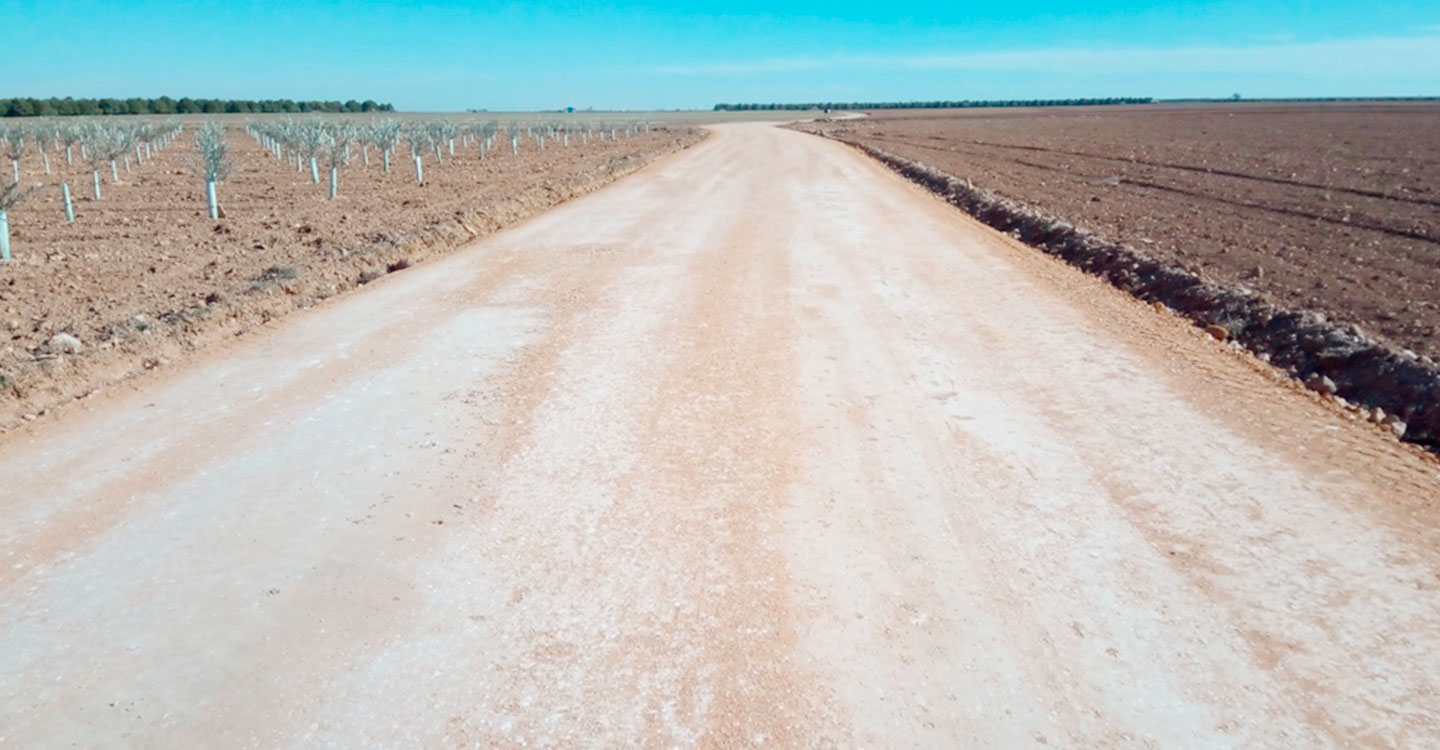 El trabajo del concejal de Agricultura, Álvaro Rubio, propicia el arreglo del Camino Real también en el término de Socuéllamos