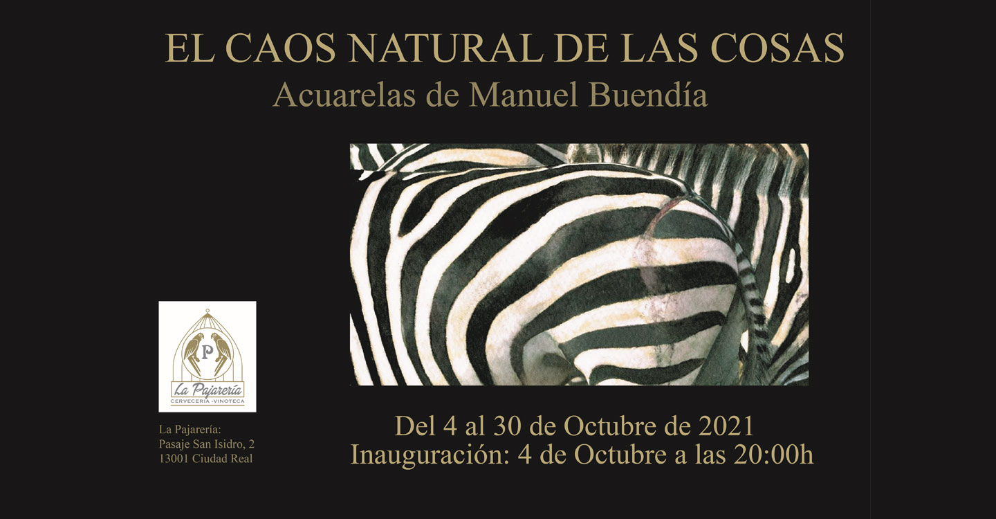 Manuel Buendía presenta en Ciudad Real la Exposición titulada : El caos natural de las cosas