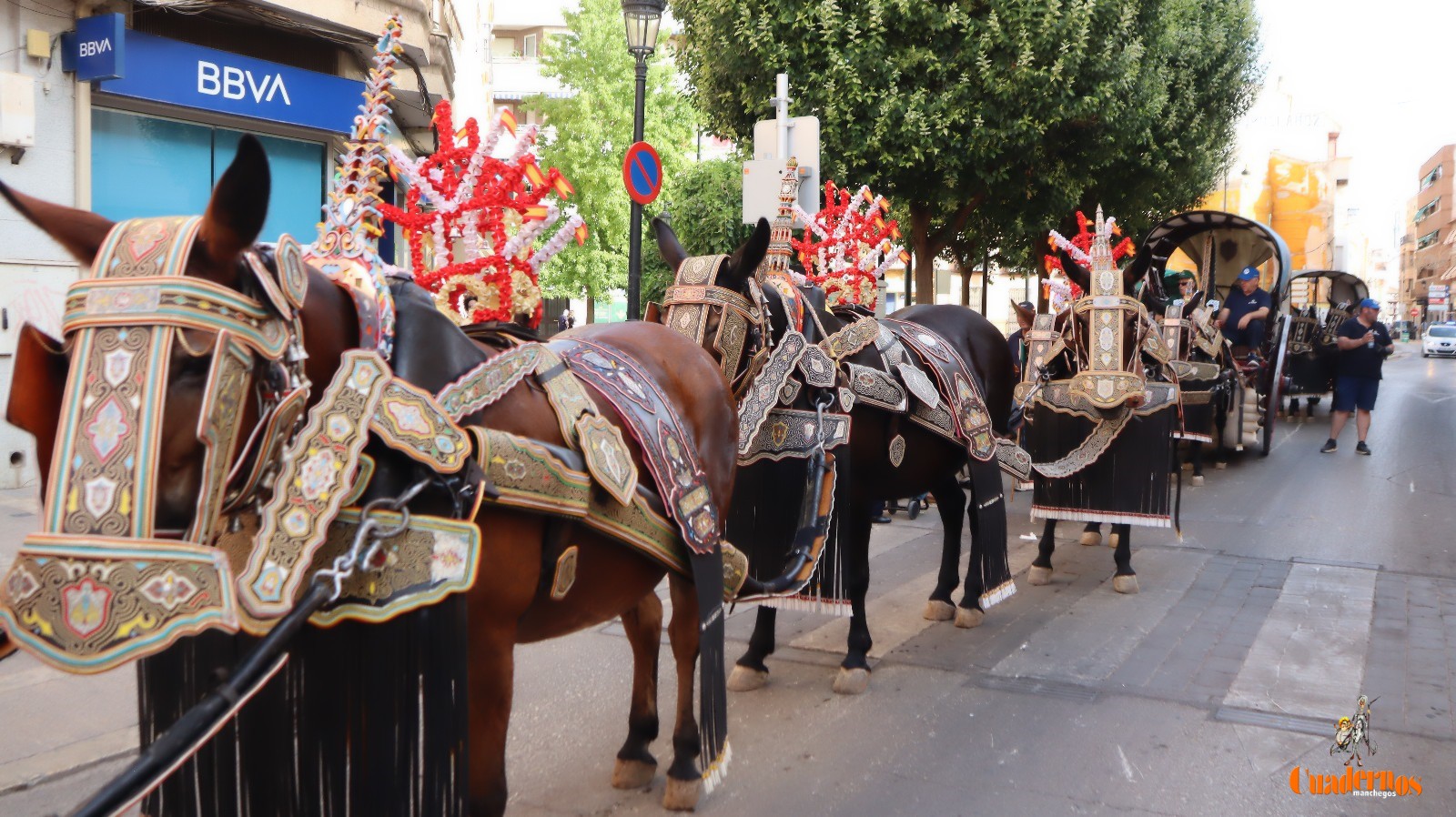 Tomelloso recuerda su historia con el desfile de reatas, carros y mulas 