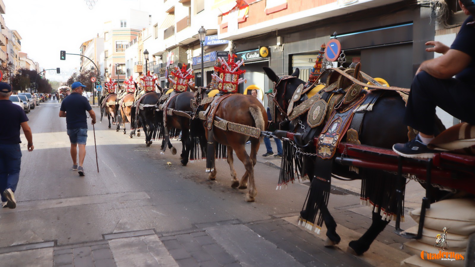 Desfile Reatas Tomelloso