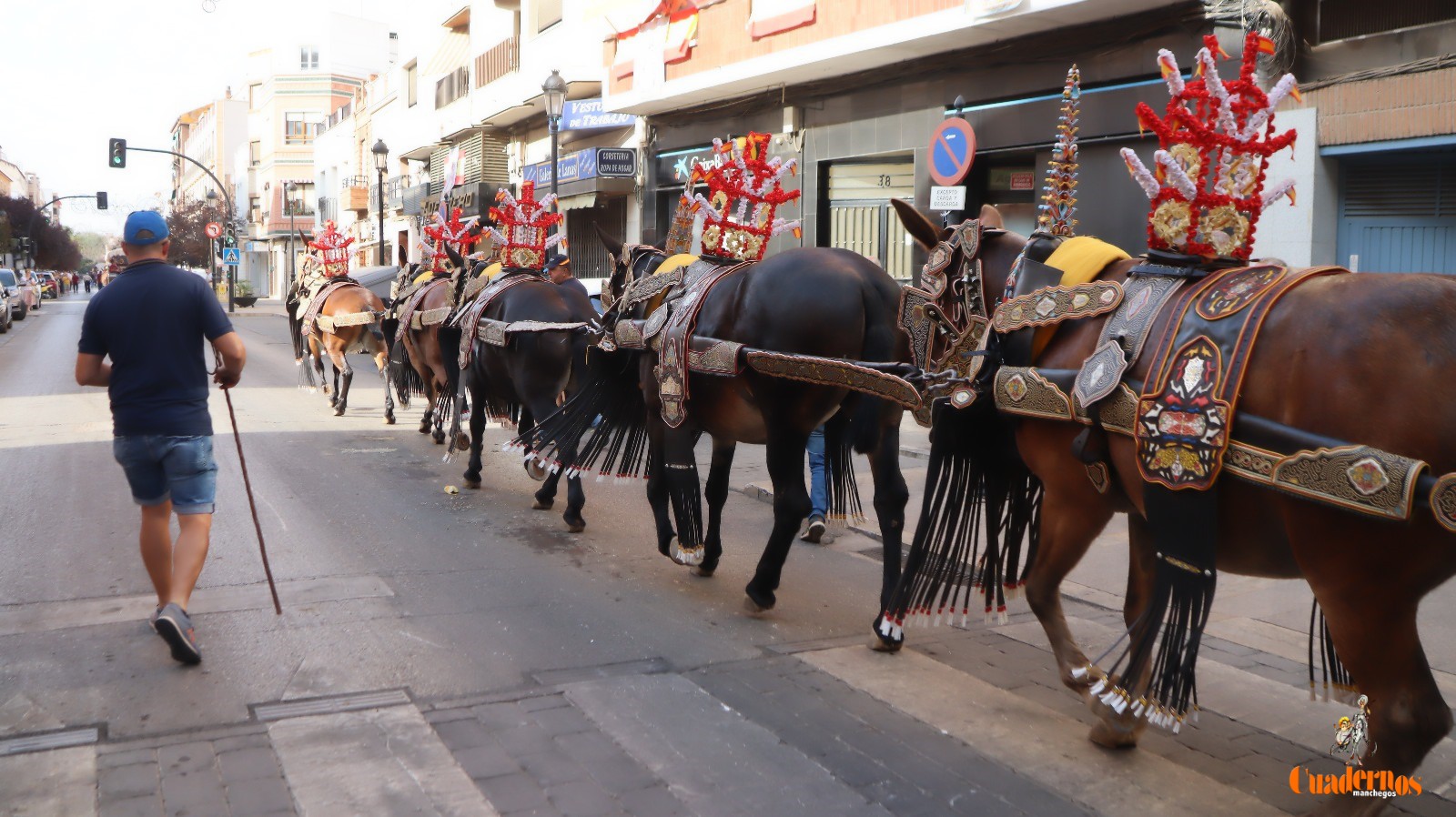 Desfile Reatas Tomelloso