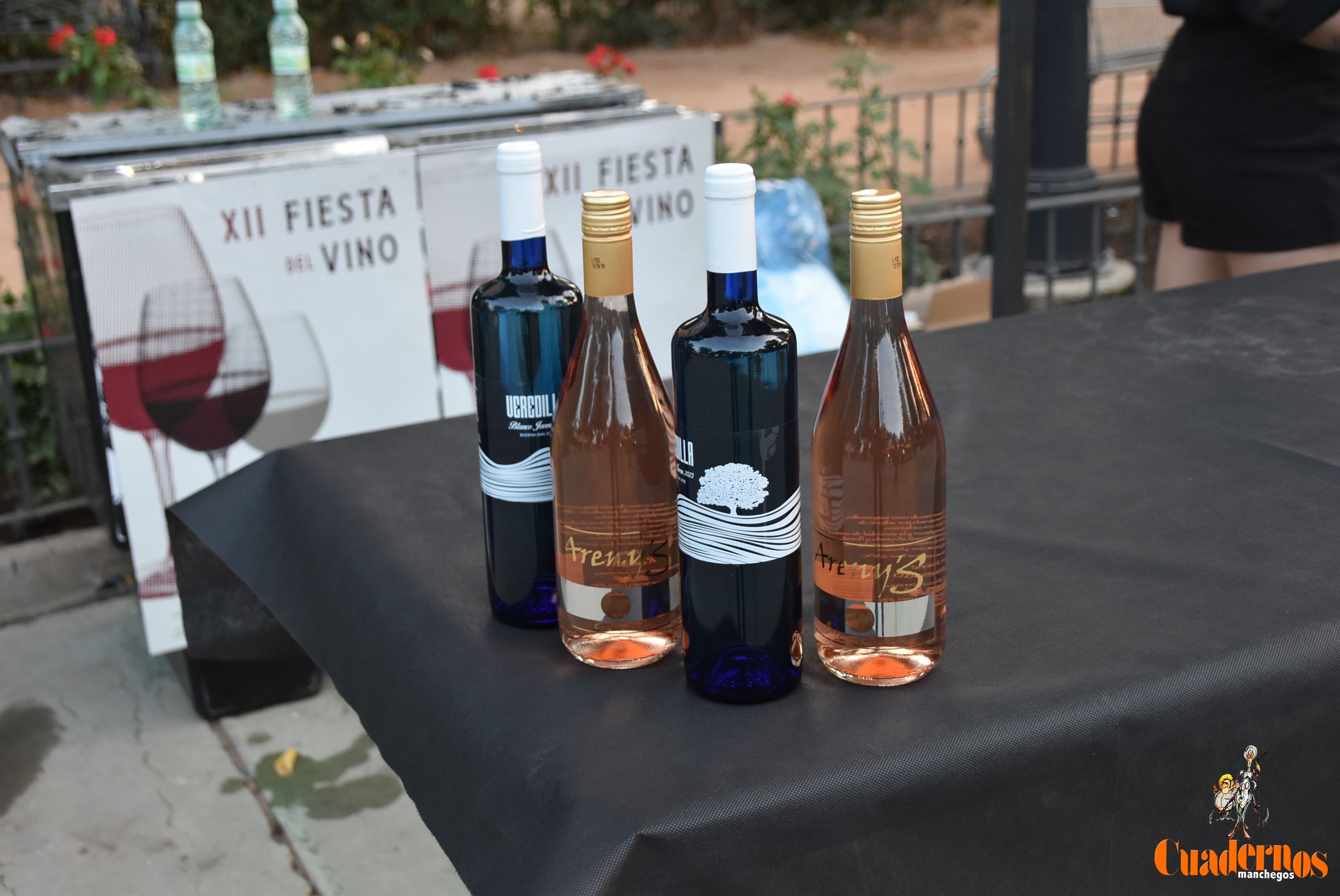 XII Edición Fiesta del Vino