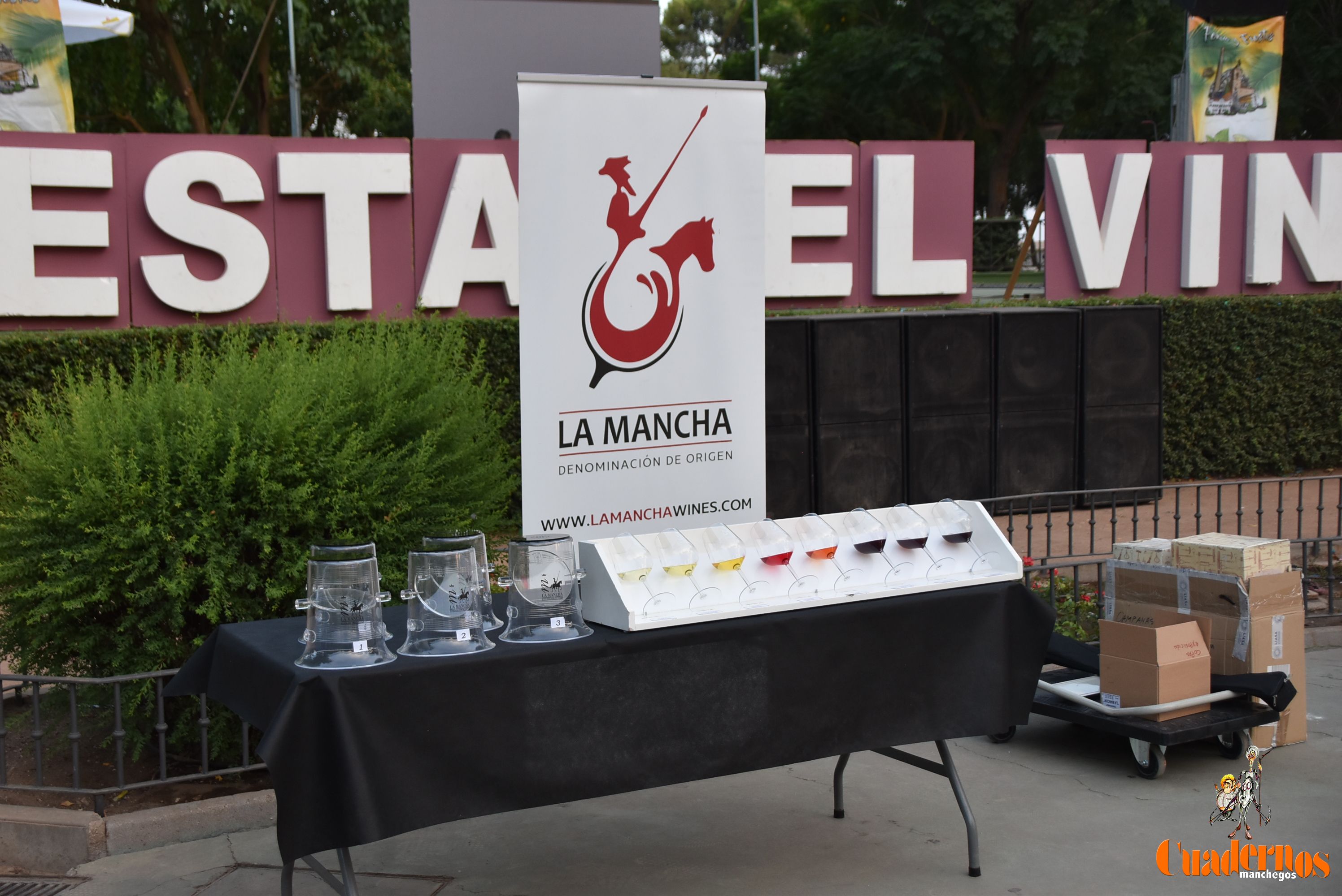 XII Edición Fiesta del Vino