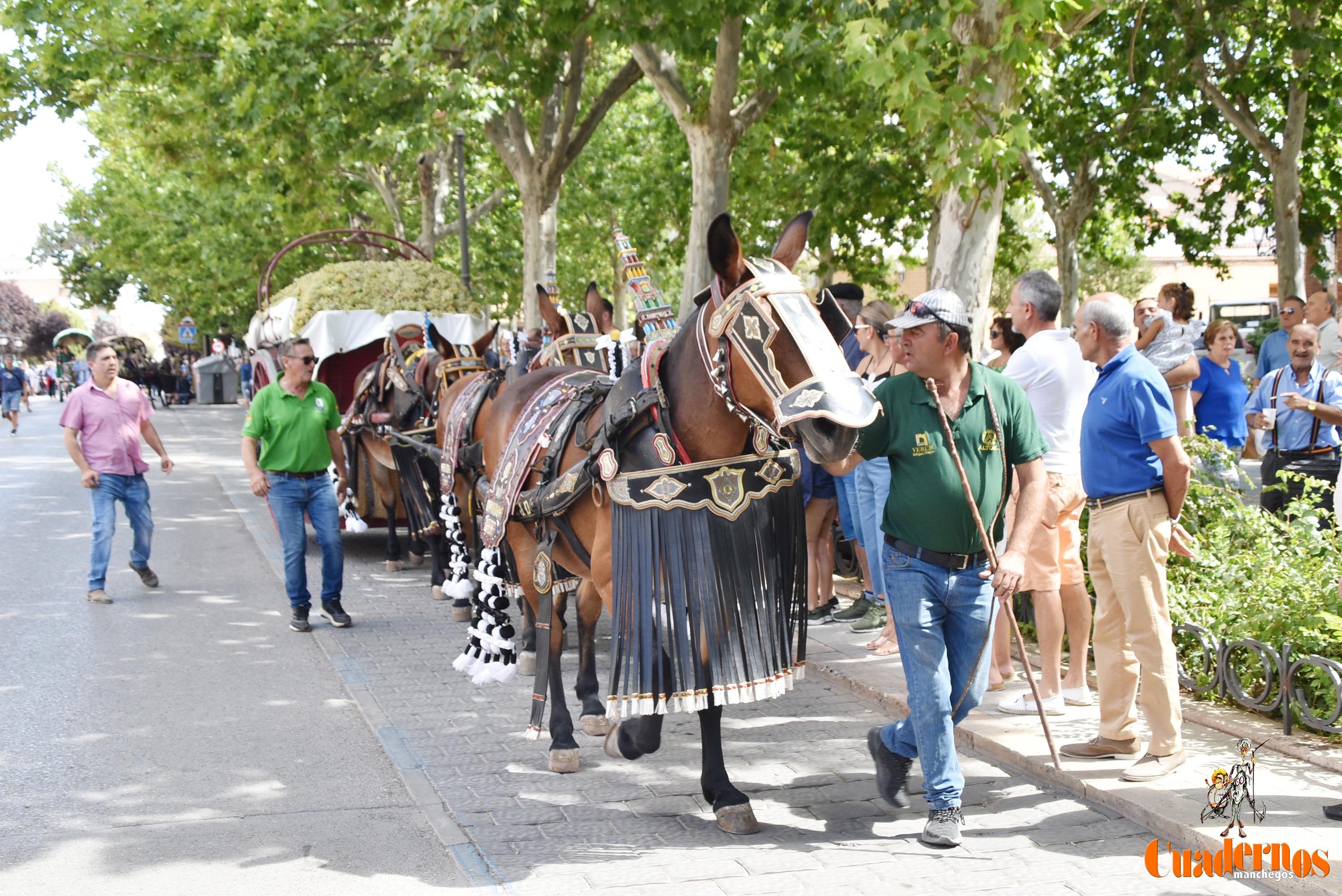 Fiesta Vendimia Tradicional 2022