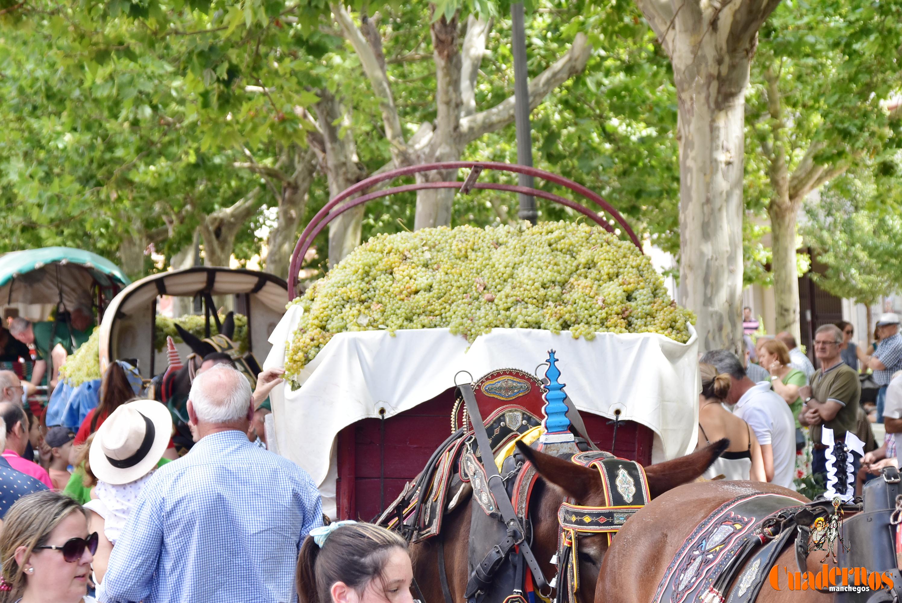 Fiesta Vendimia Tradicional 2022