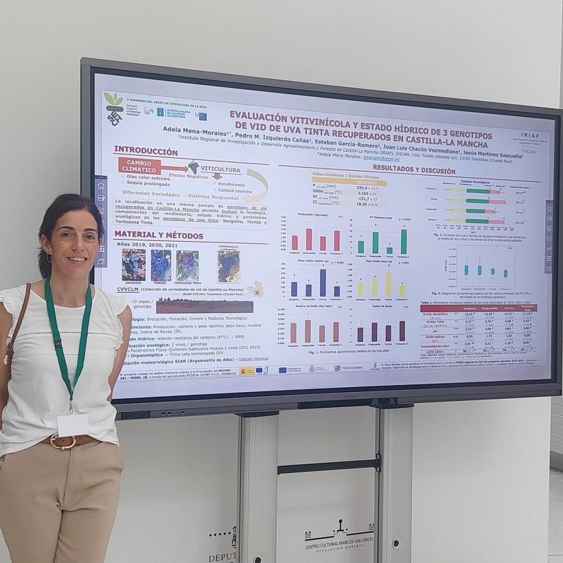 El Grupo de Investigación Vitivinícola del IRIAF profundiza en el conocimiento de tres variedades de uva tinta y su adaptación al cambio climático