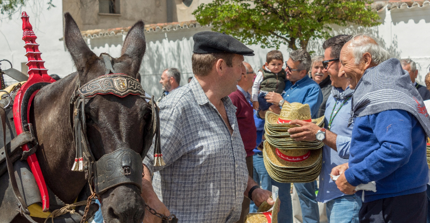 Los agricultores de Tomelloso celebran por todo lo alto la festividad de San Isidro