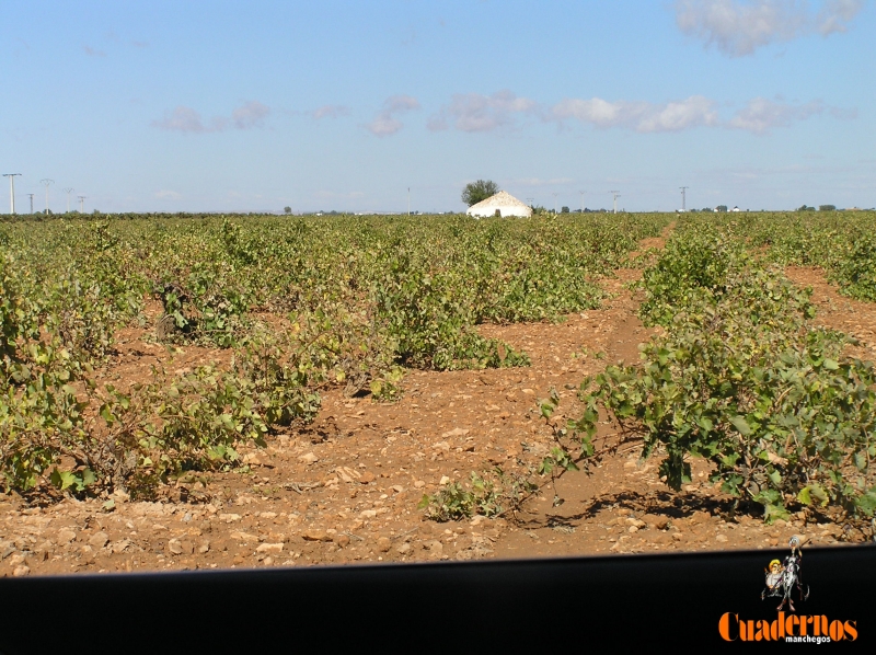 Paisajes de La Mancha