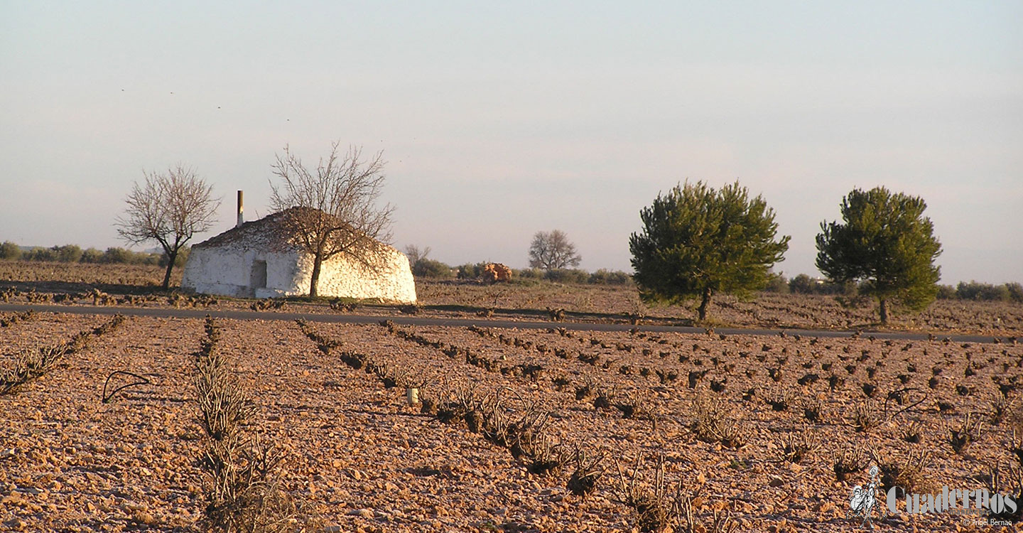 Primavera ‘MODO ON’: tres paisajes que no te puedes perder en La Mancha ¡ahora!, uno de ellos la ruta de los Bombos de Tomelloso