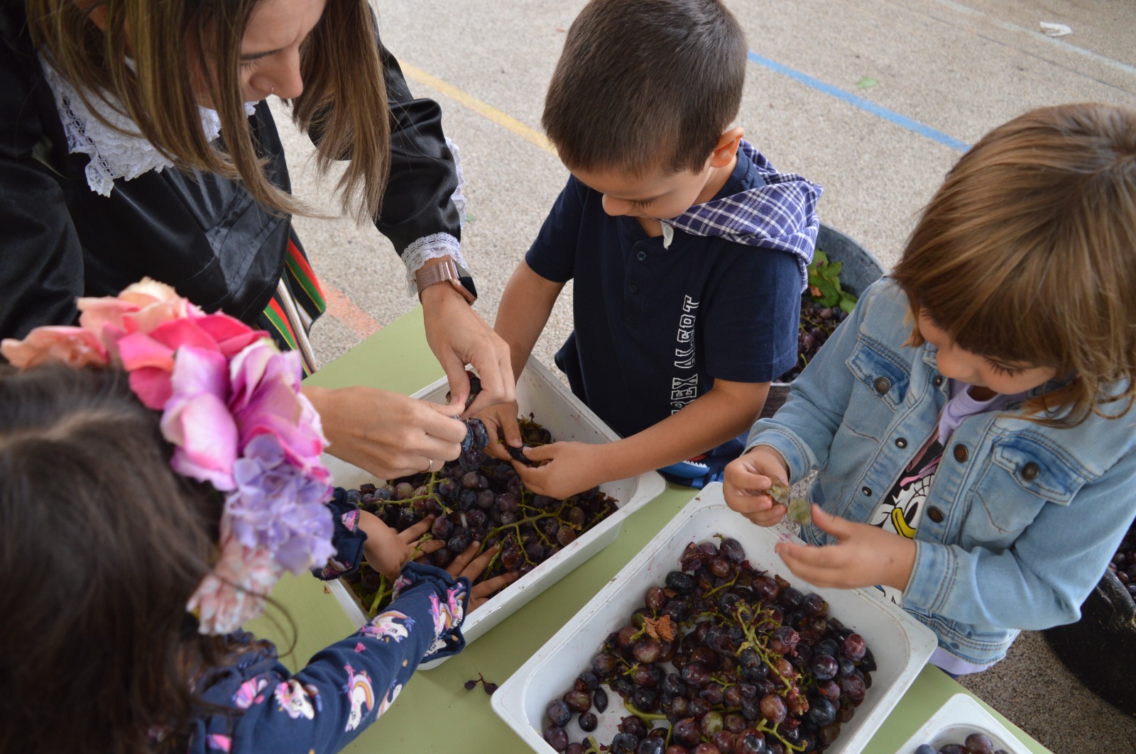 Vendimia en el CEIP Félix Grande