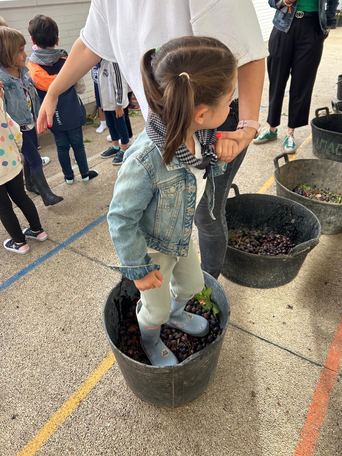 Vendimia en el CEIP Félix Grande