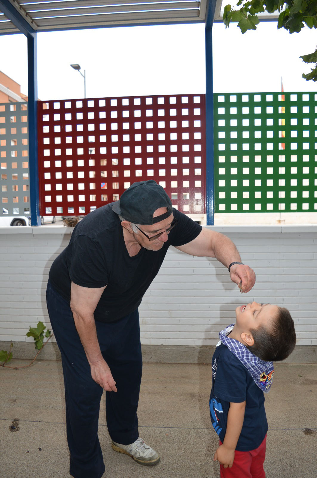 Vendimia en el CEIP Félix Grande