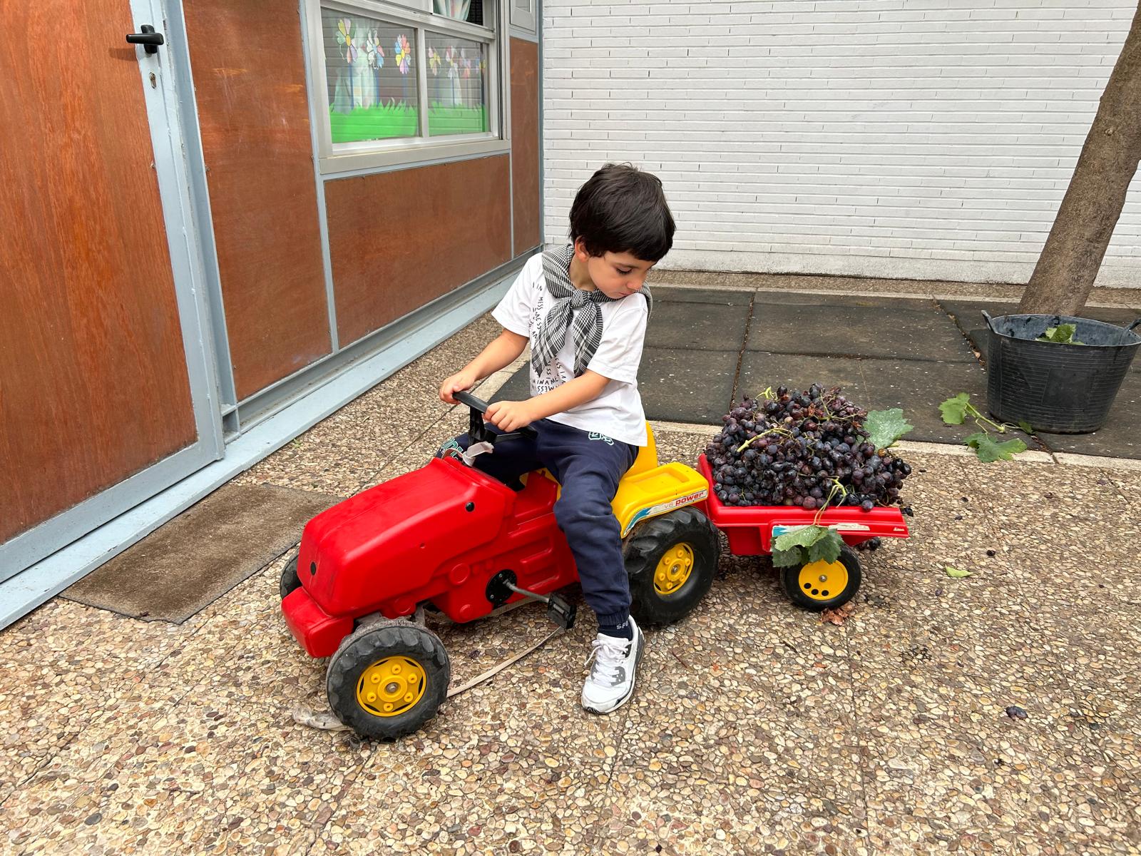 Vendimia en el CEIP Félix Grande