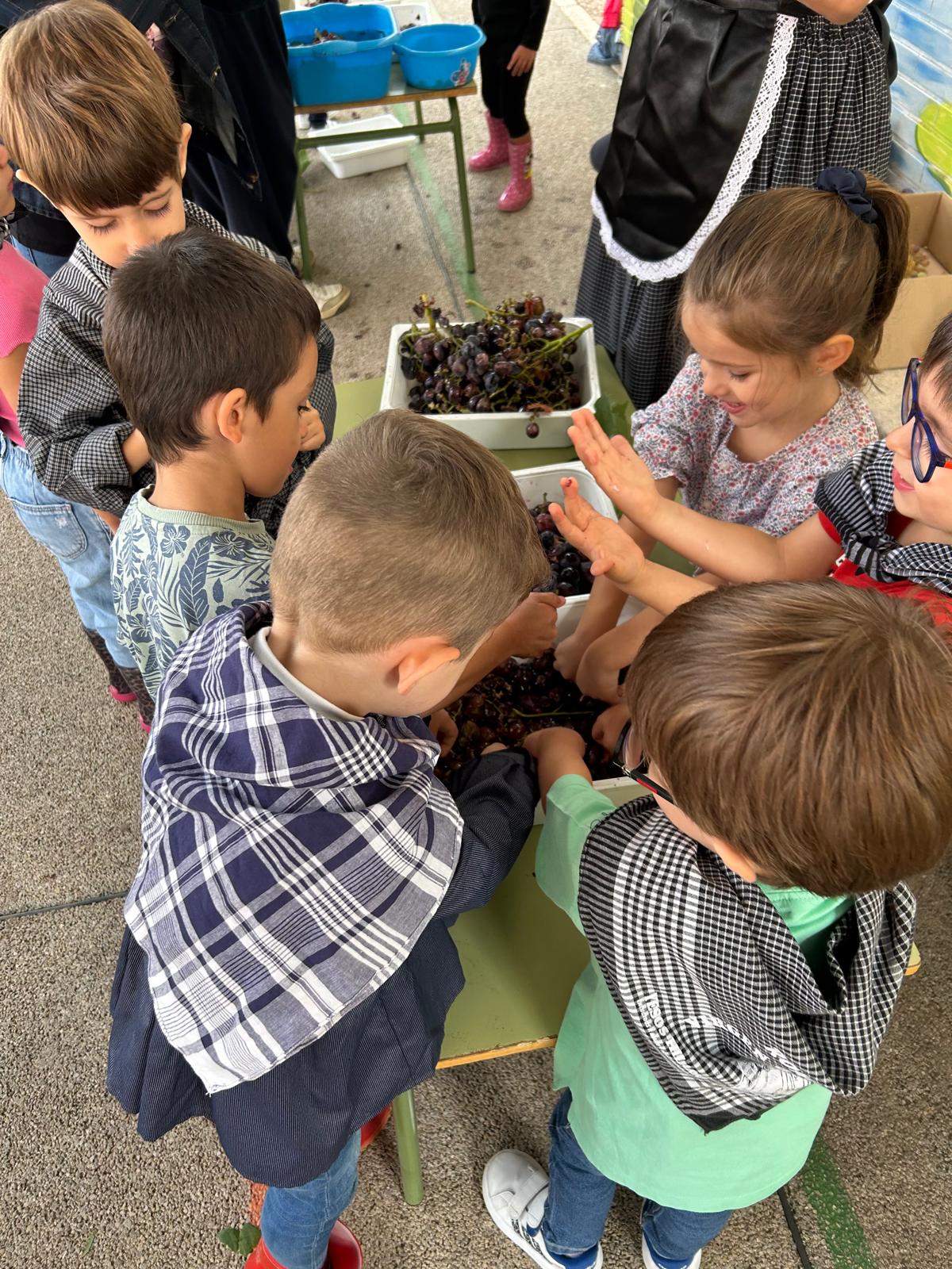 Vendimia en el CEIP Félix Grande