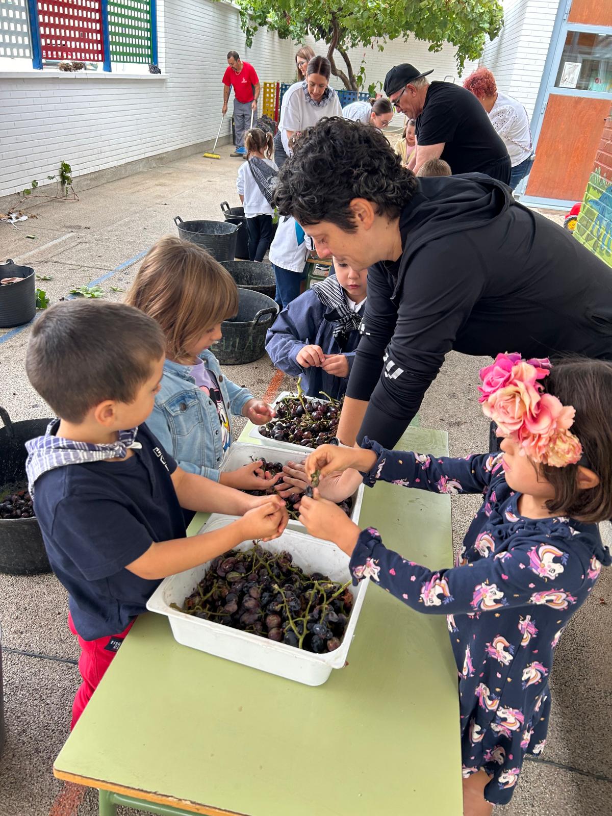 Vendimia en el CEIP Félix Grande