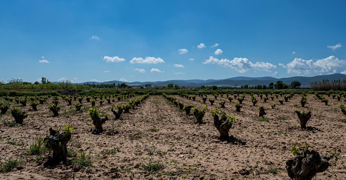 La Junta de Explotación de la Masa de Agua Subterránea Tierra de Barros se reúne por primera vez y propone el Régimen de Extracciones para la Campaña del 2022