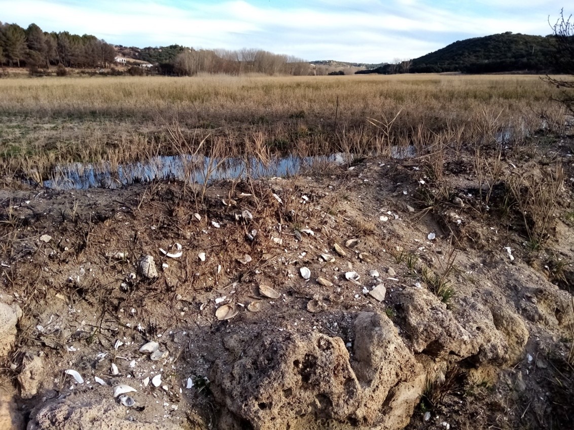 La biodiversidad del Alto Guadiana en acelerada decadencia