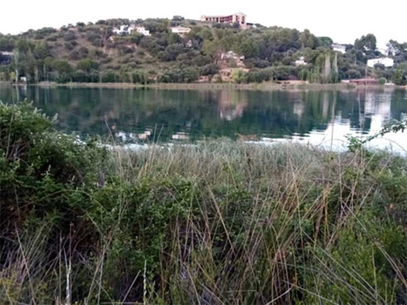 Localizan restos paleontológicos de cápridos y felinos, de unos doscientos mil años de antigüedad, en los aledaños a la laguna “La Colgada” (I)