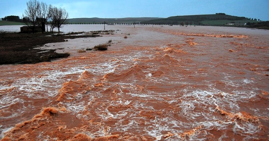 La memoria del agua