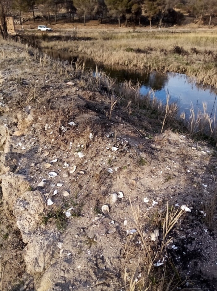 biodiversidad altoguadiana 2